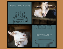 Load image into Gallery viewer, Postcards