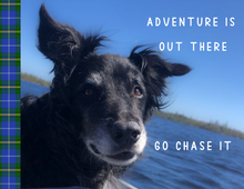 Load image into Gallery viewer, Postcards